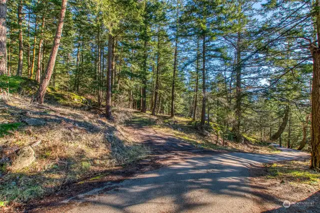 Driveway off of Veneda Trail.