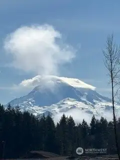 Spectacular Mt. Rainier view from the upstairs primary bedroom!