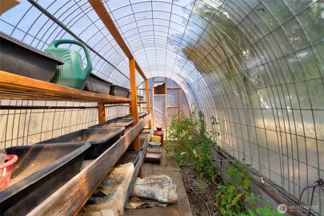 Greenhouse.