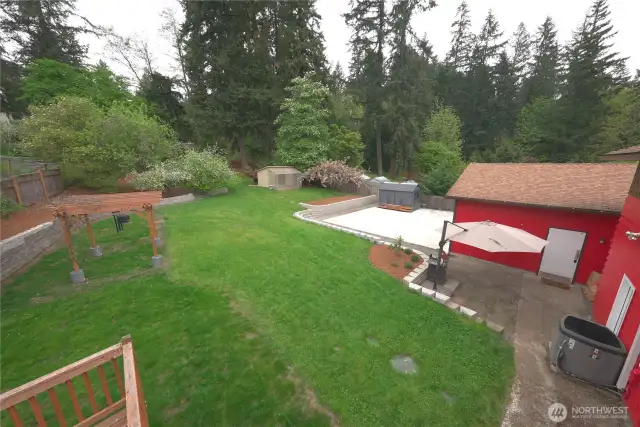 Backyard