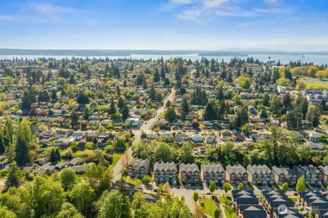 Aerial view of the community