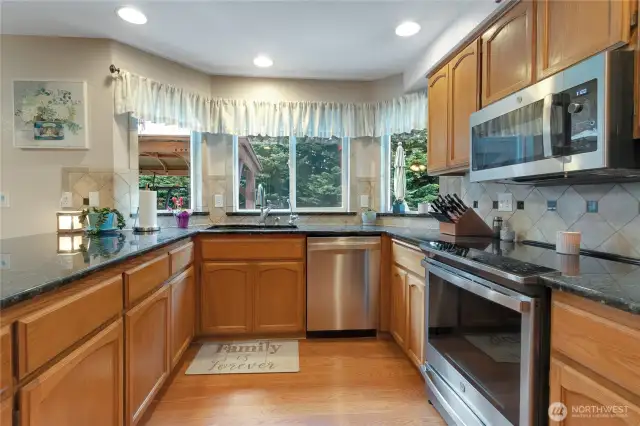 Well-equipped kitchen featuring generous counter space, granite countertops, stainless steel appliances including an induction oven, built-in microwave, and dishwasher.