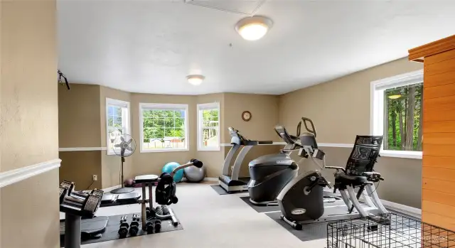 This spacious bonus room offers endless possibilities—ideal as a home office, media room, play area, exercise room, or additional living space to suit your lifestyle needs.