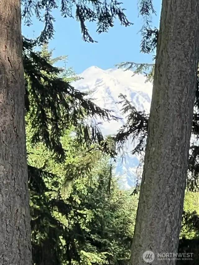 Stunning mountain view framed by evergreens—your own private window to nature’s beauty.