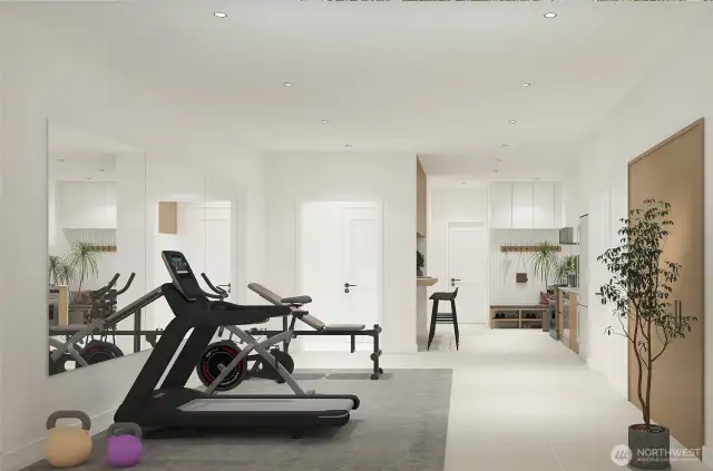 Basement-Gym