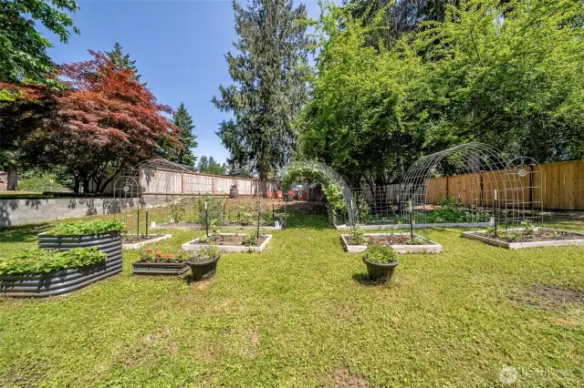 Enjoy organic garden beds