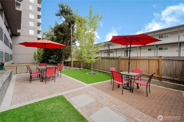 Wonderful Courtyard