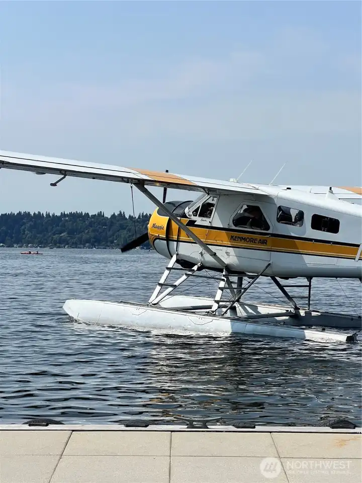 This is what you will see almost every day, colorful seaplanes
