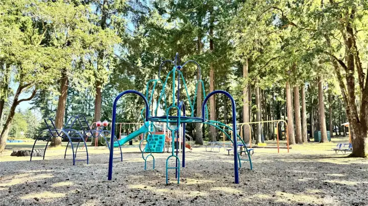 Community Playground