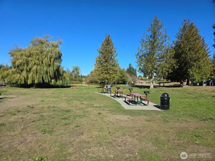 The open spaces for play and picnics.