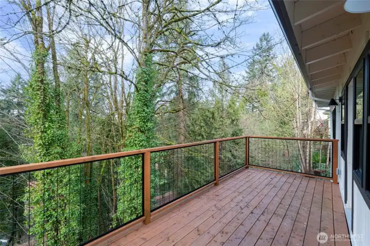 More deck behind this photo! Tons of space to entertain!