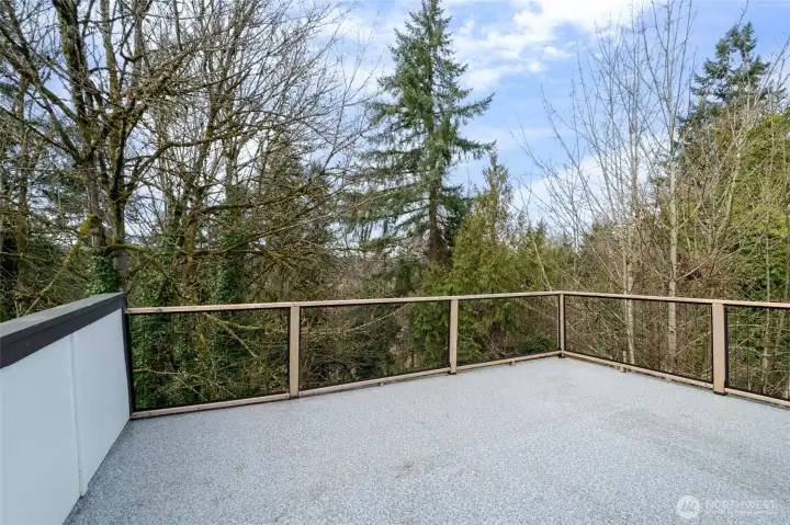 Huge rooftop deck! Great views!