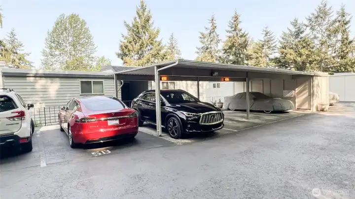 Designated parking lots