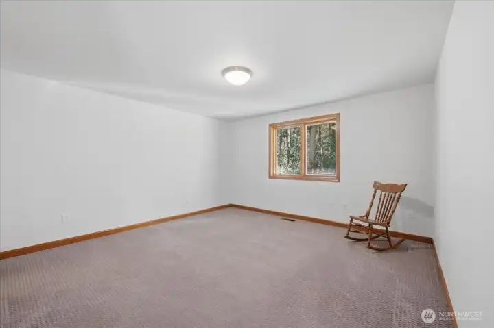 2nd spare Bedroom w Walk-in Closet.