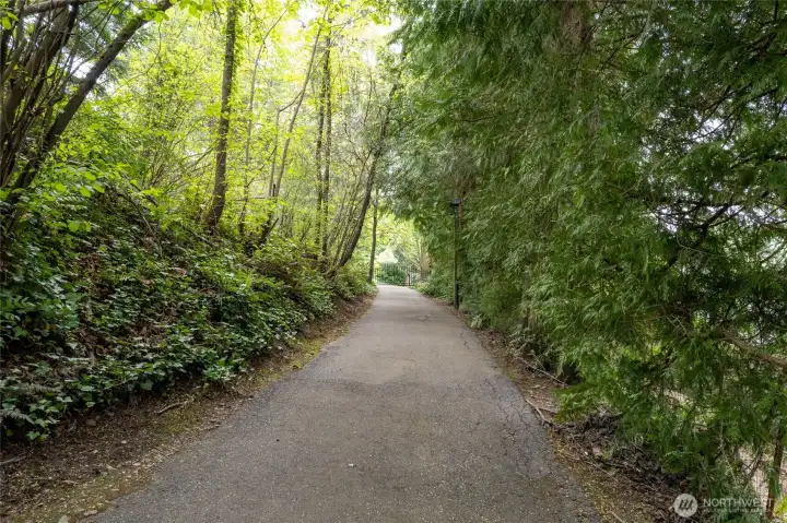 Driveway leading from the private gate to the house