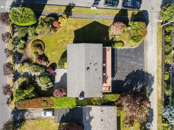This yard is nearly artwork.