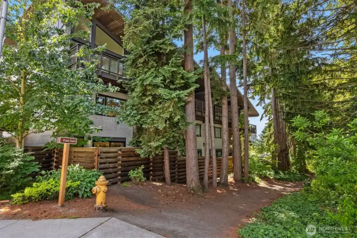 The entry to the studio’s sweet fenced yard is adjacent to a lovely tree-lined trail that leads directly to the Farmer’s Market, Bainbridge Performing Arts, and Madrone Lane’s outdoor dining and hangout area. All of Winslow lies beyond! The peace, privacy, and proximity are an unbeatable combination!