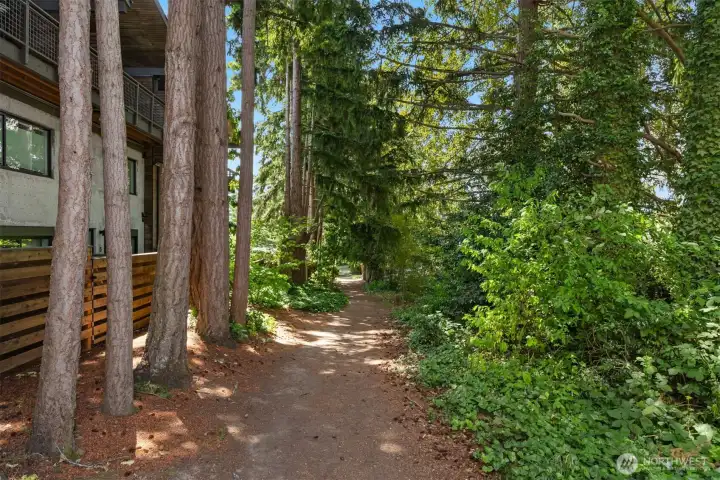 This smooth, flat, easy public trail leads directly to downtown Winslow and conveniently places you in the midst of the Saturday Farmer’s Market or steps from the latest offerings at Bainbridge Performing Arts. With all your daily needs so nearby, a car is optional.