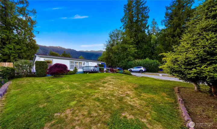 Nice big front yard