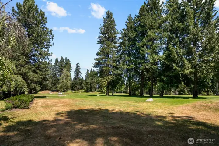Golf Course View