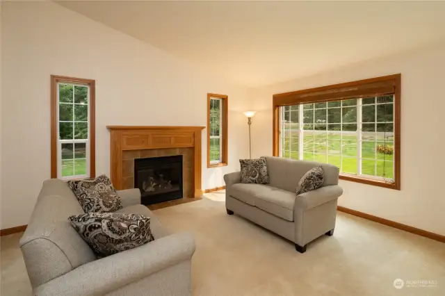 Living Room with cozy gas fireplace and great natural light streaming in!
