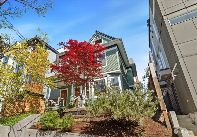 Charming, classic Craftsman sits above 13th Avenue in the heart of Capitol Hill.