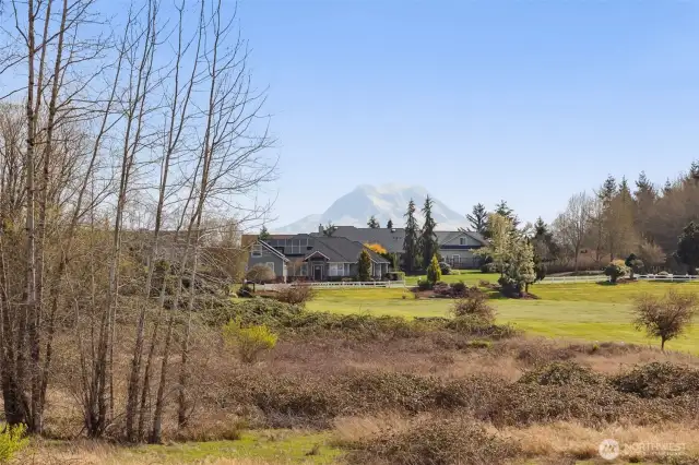 You think Mt. Rainier looks epic in photos? Wait until you see it in real life. This natural masterpiece towering above the wetlands behind your home is nothing short of breathtaking. It’s like having your own personal postcard view, but the kind that a screen can’t capture. Trust me, the way this grand mountain commands your attention in person will leave you speechless every single day. It’s all about living in the moment with a front-row seat to nature’s most impressive show!