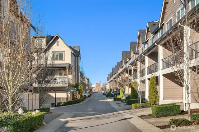 This quiet community is tucked away off the main roads in the beautiful Issaquah Highlands. Seen here is the main garage and driveway access located on the back side of the unit, opposite from the Brooklyn Walk.