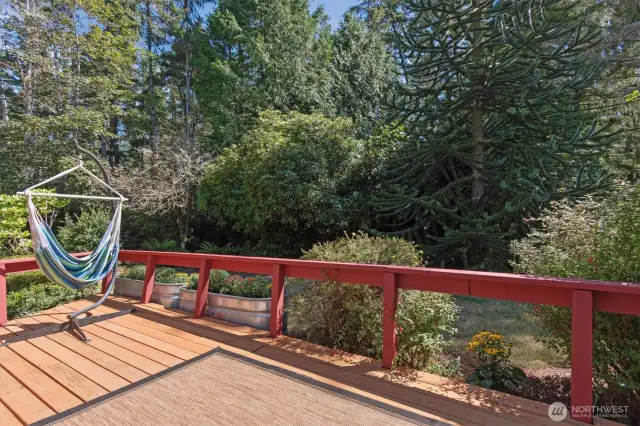 Expansive open deck area, you can hear the ocean!