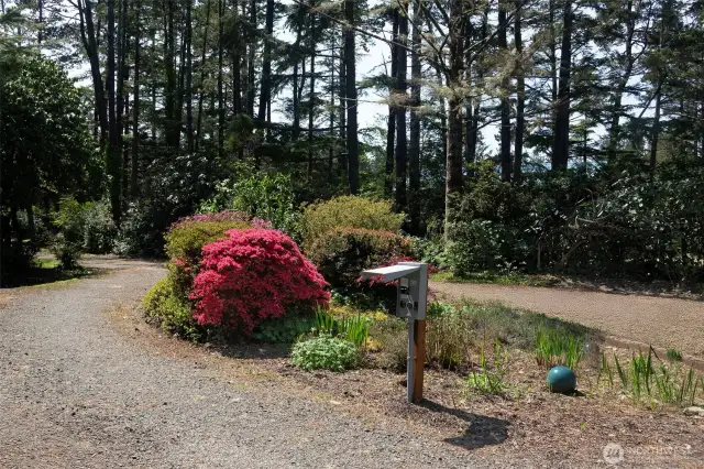 Easeful circular driveway, power for your RV