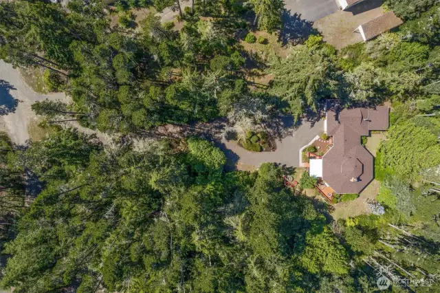 Peaceful and private, your verdant oasis