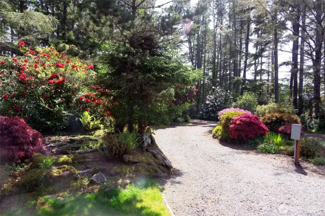 or enjoying a cup of coffee in the morning over looking the pond and garden