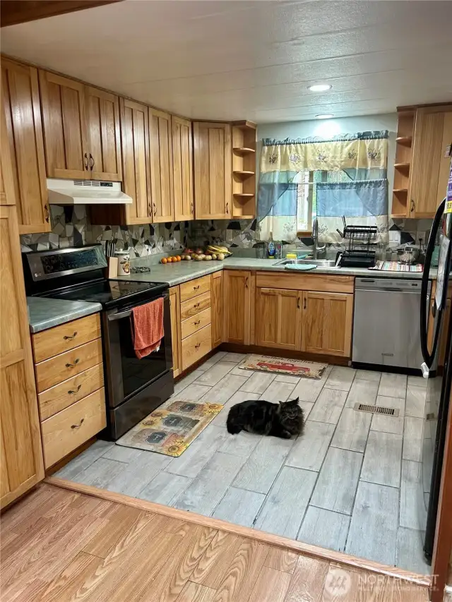 Spacious kitchen with ample beautiful cabinetry