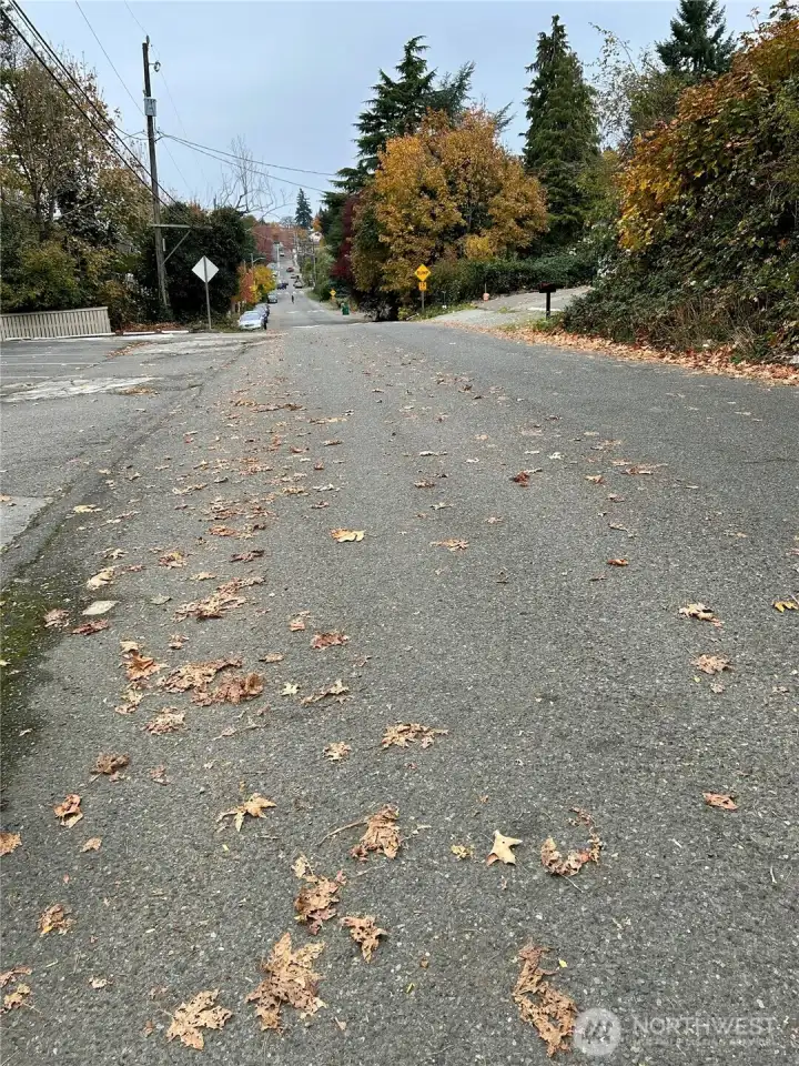 Neighborhood Looking North