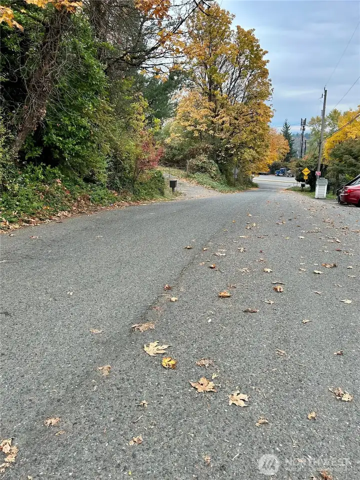 Neighborhood Looking South