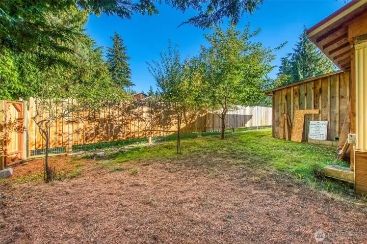 Sunny yard for relaxing.