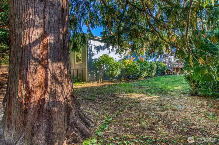 Really pretty lot with cedar fencing gives a private feeling.