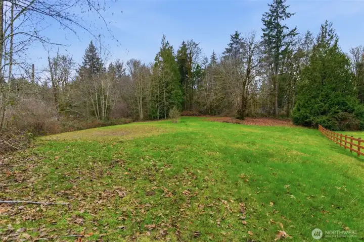View from top of driveway looking to back (house on right out of frame).