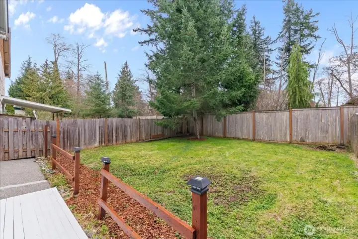 Fully fenced backyard with open lawn space and mature trees providing greenery. Level yard offers room for outdoor seating, play, or gardening.