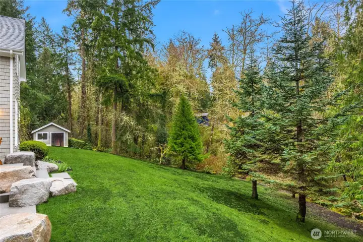 The backyard gently slopes, siting the home perfectly to capture beautiful light.