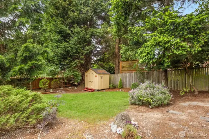 Private backyard surrounded by mature evergreens and established landscaping.