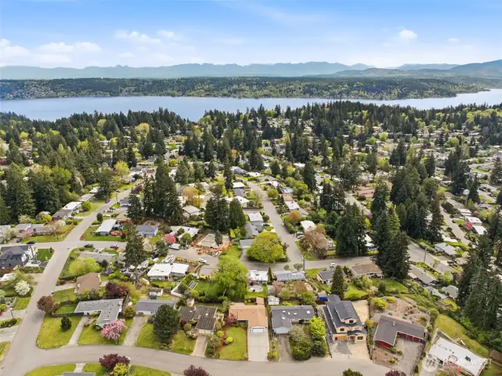 Established Bellevue neighborhood with tree-lined streets and close proximity to parks, shopping, and major commuter routes