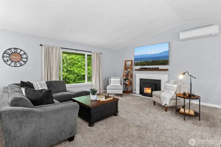 Living room with a toasty pellet stove.