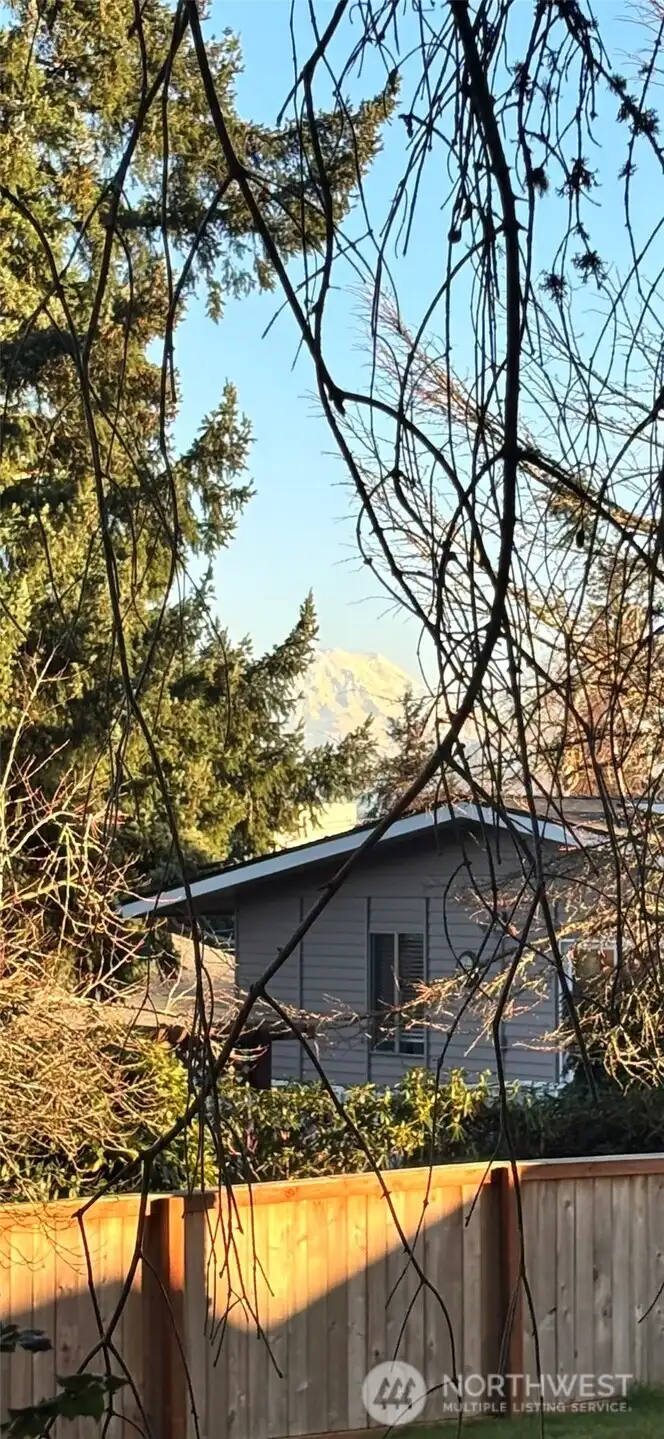 Partial Mt. Rainier view