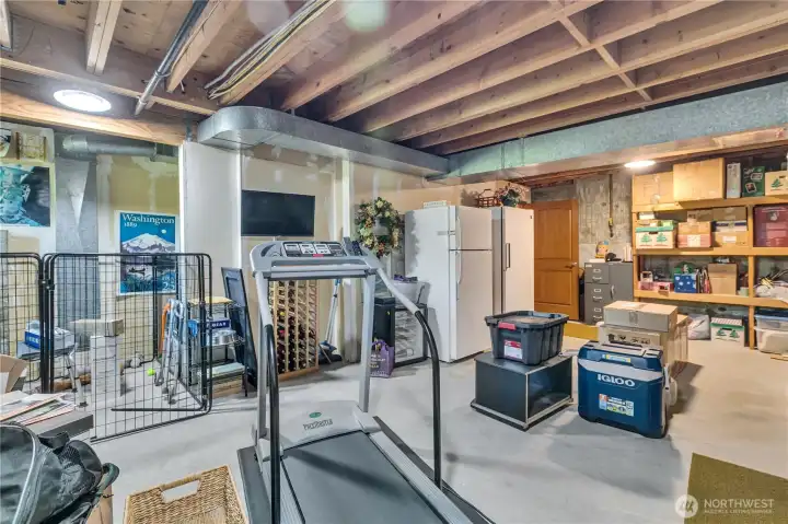Downstairs Storage Room