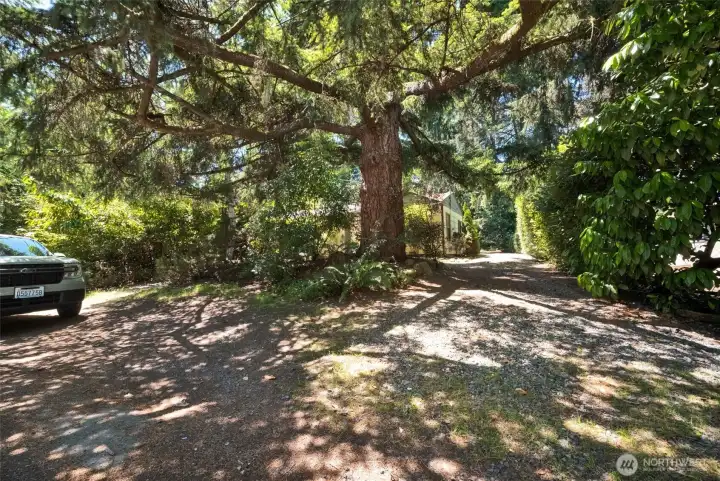 Long off street parking.  Drive way fits 3-4 cars.