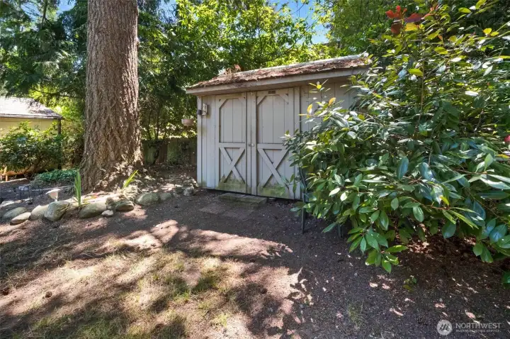 Shed