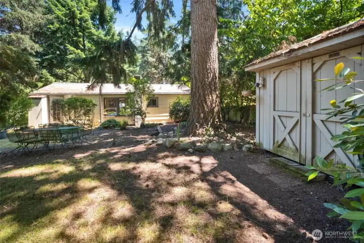 Back of the house from the yard
