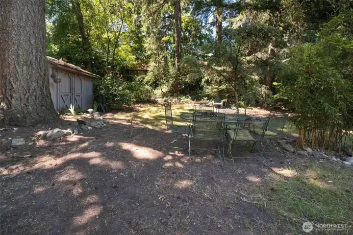 view of the shed to the left and a peek view of the art studio in the back corner between the trees.