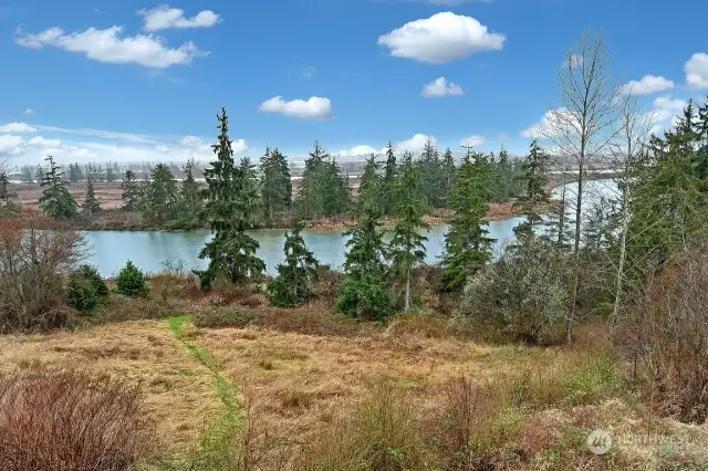 Snohomish River View to the Sound/Olympic Mts